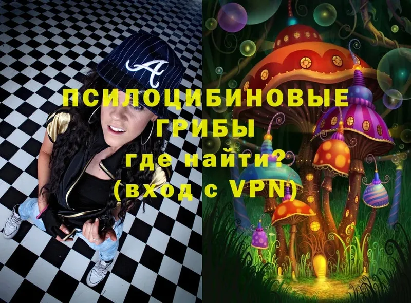 что такое наркотик  Бабаево  Галлюциногенные грибы MAGIC MUSHROOMS 